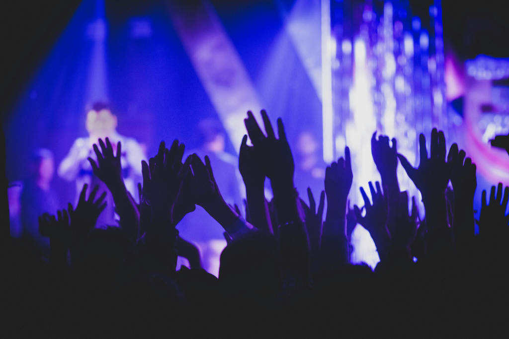 Audience at a concert